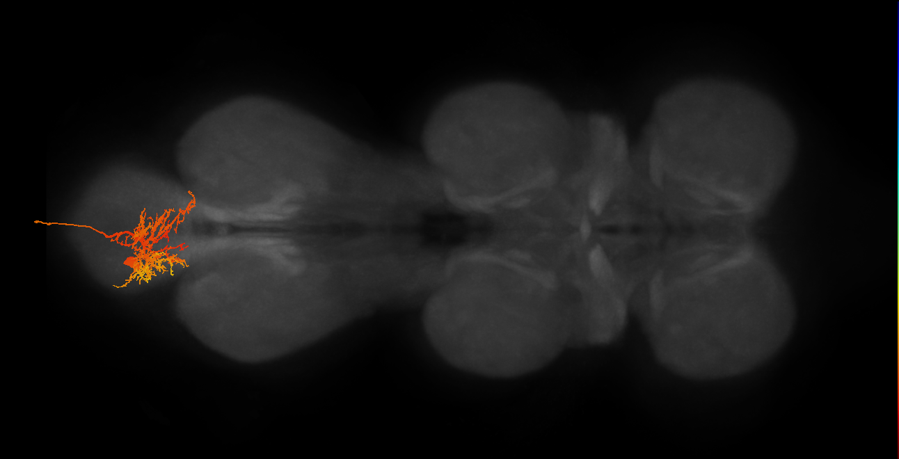 MNad02
