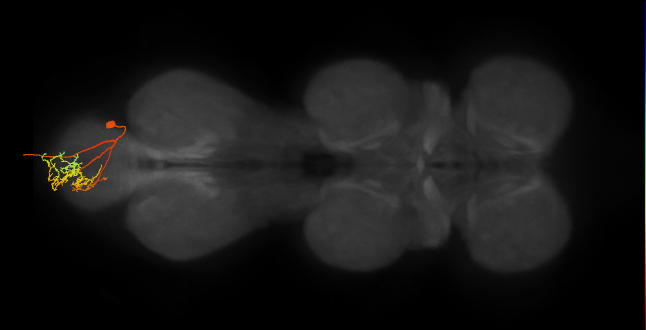 MNad03