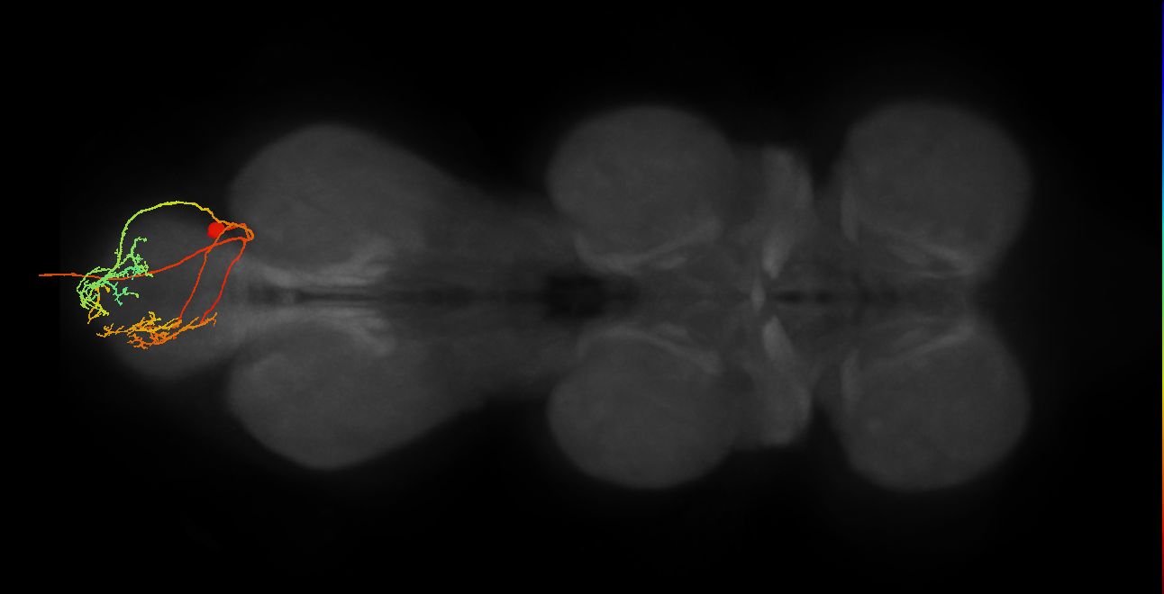 MNad03
