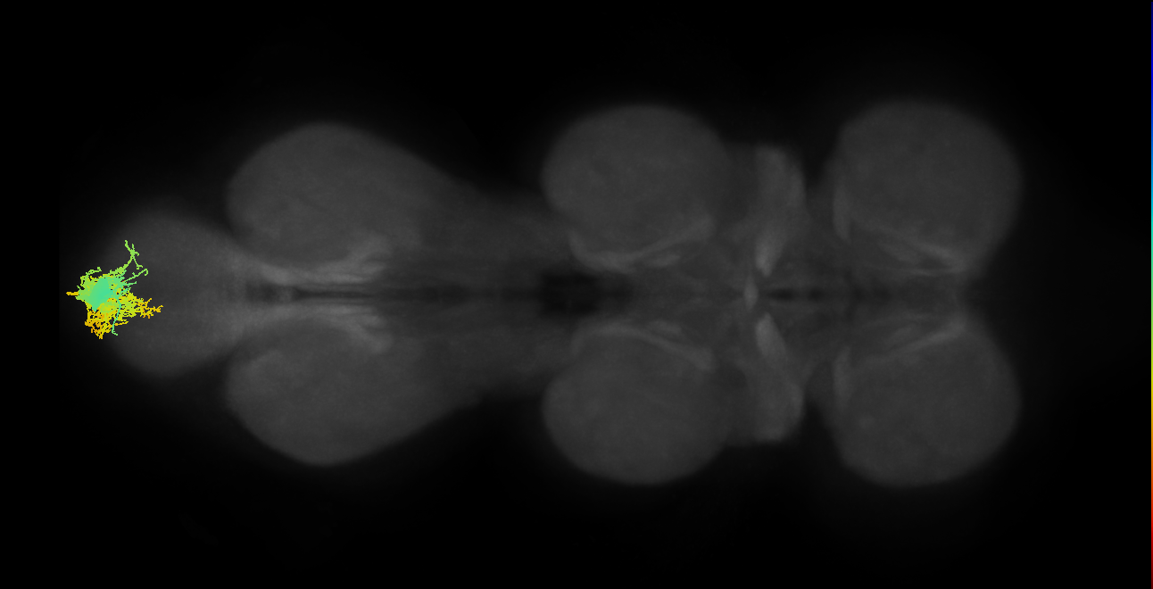 MNad04