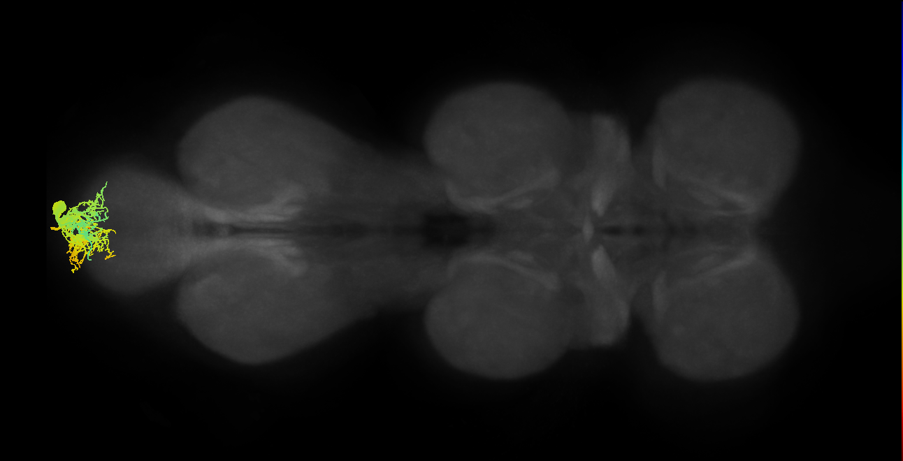 MNad04