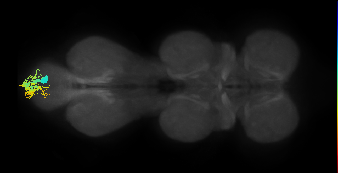 MNad04