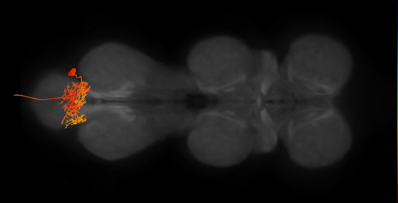MNad06