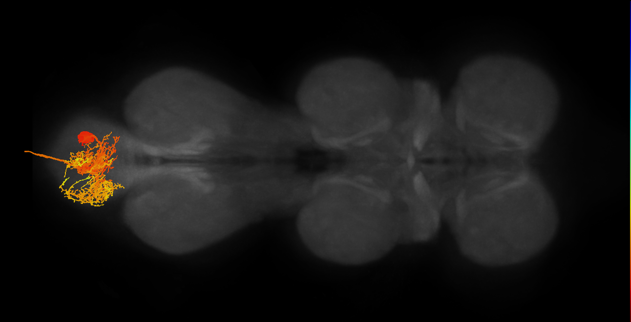 MNad08