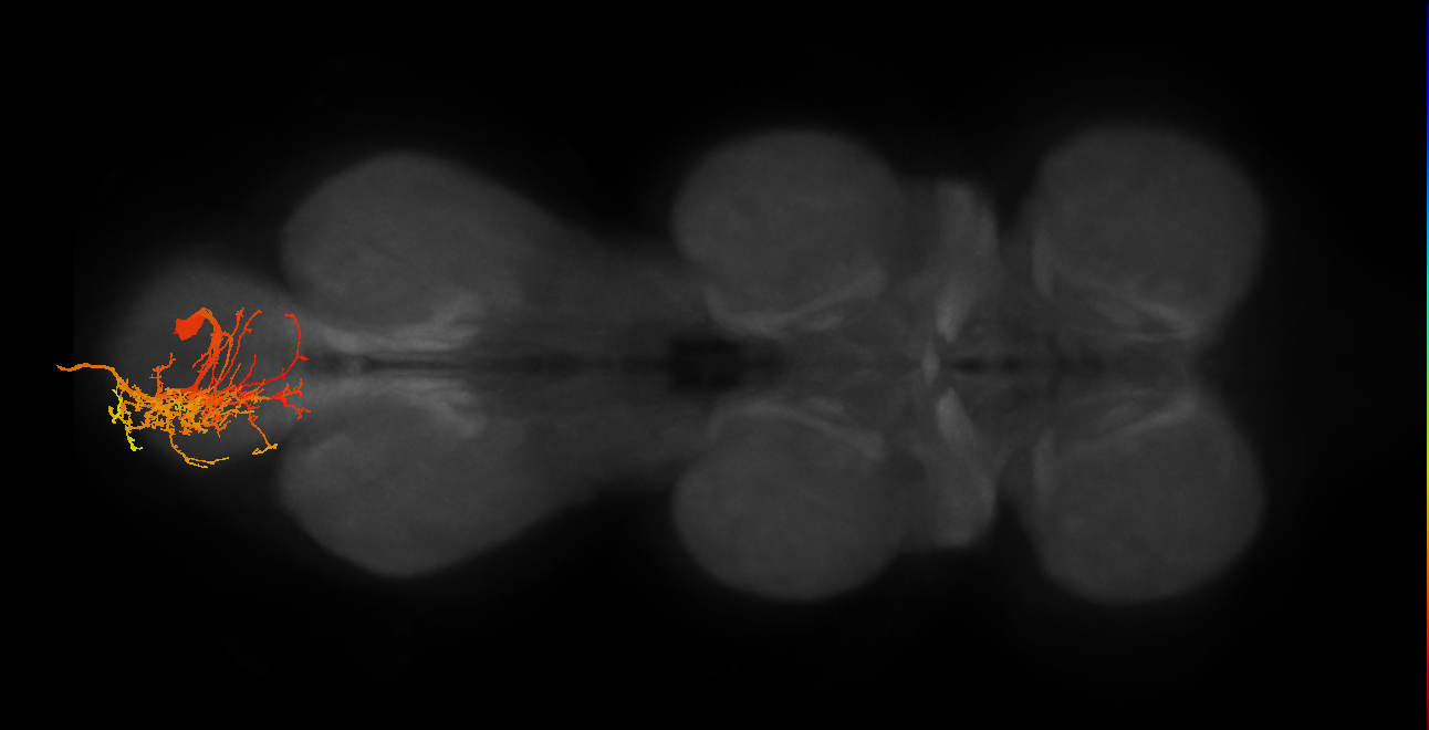 MNad09