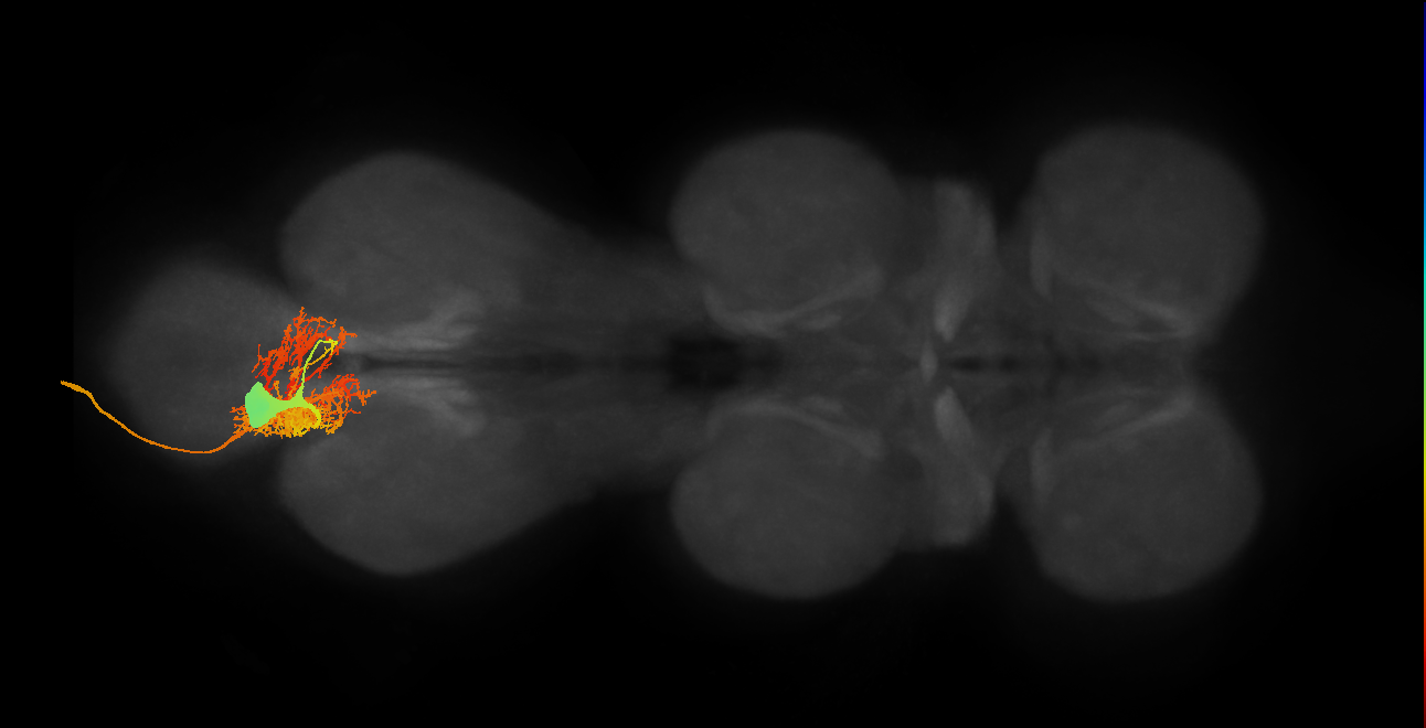 MNad10