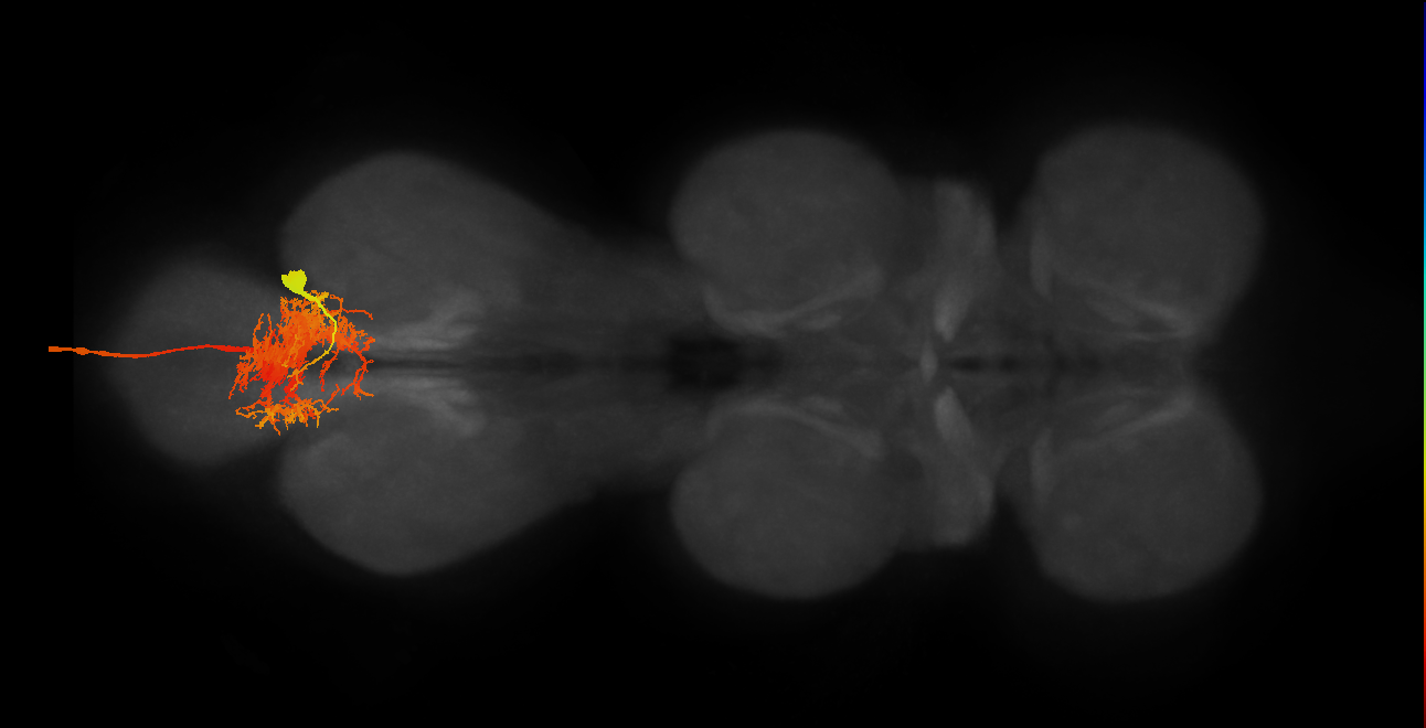 MNad10