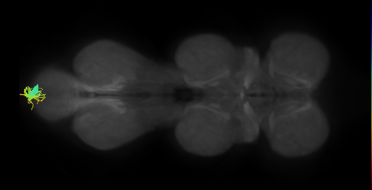 MNad12