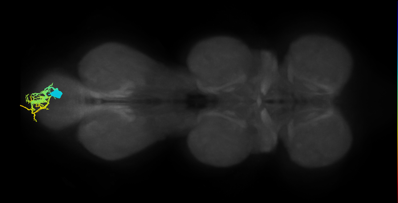MNad12