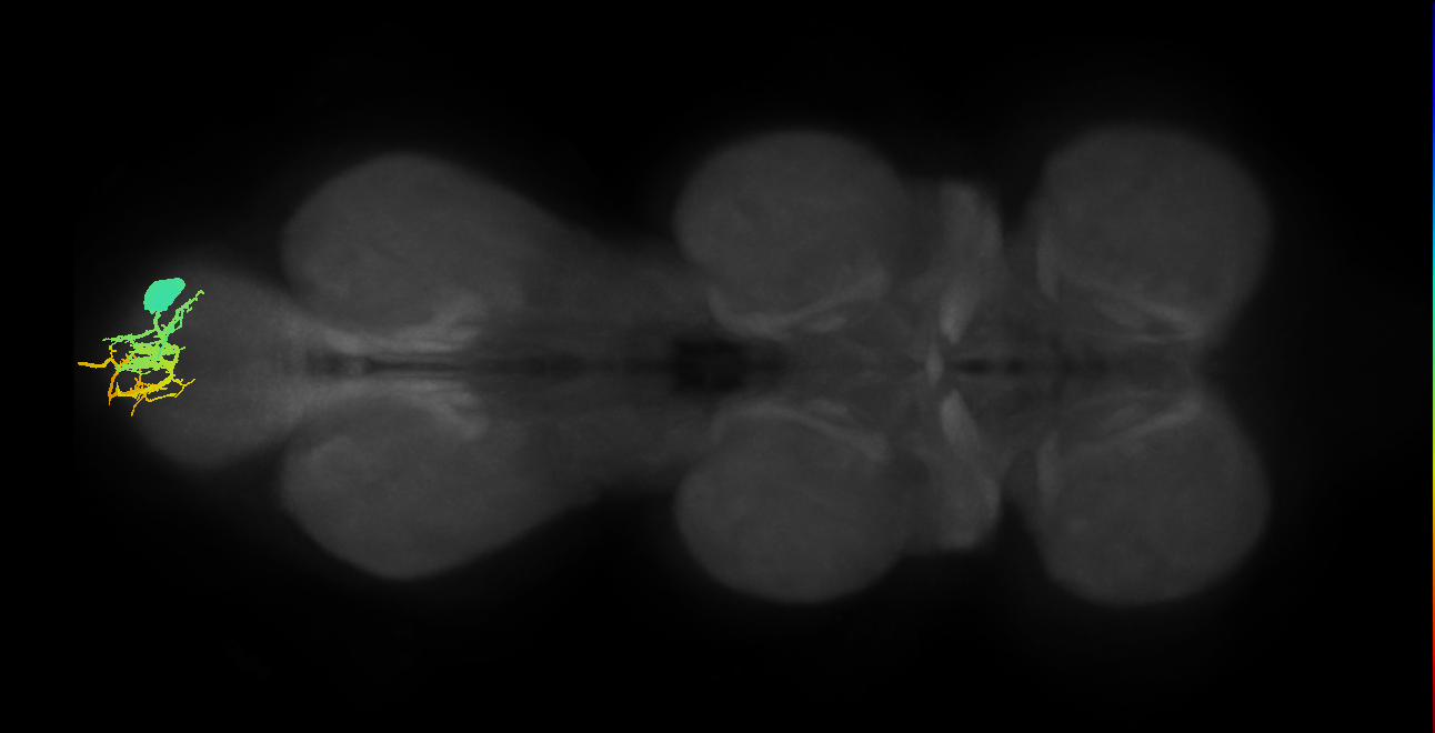 MNad12