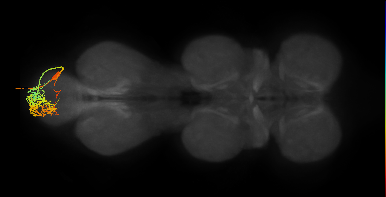 MNad13