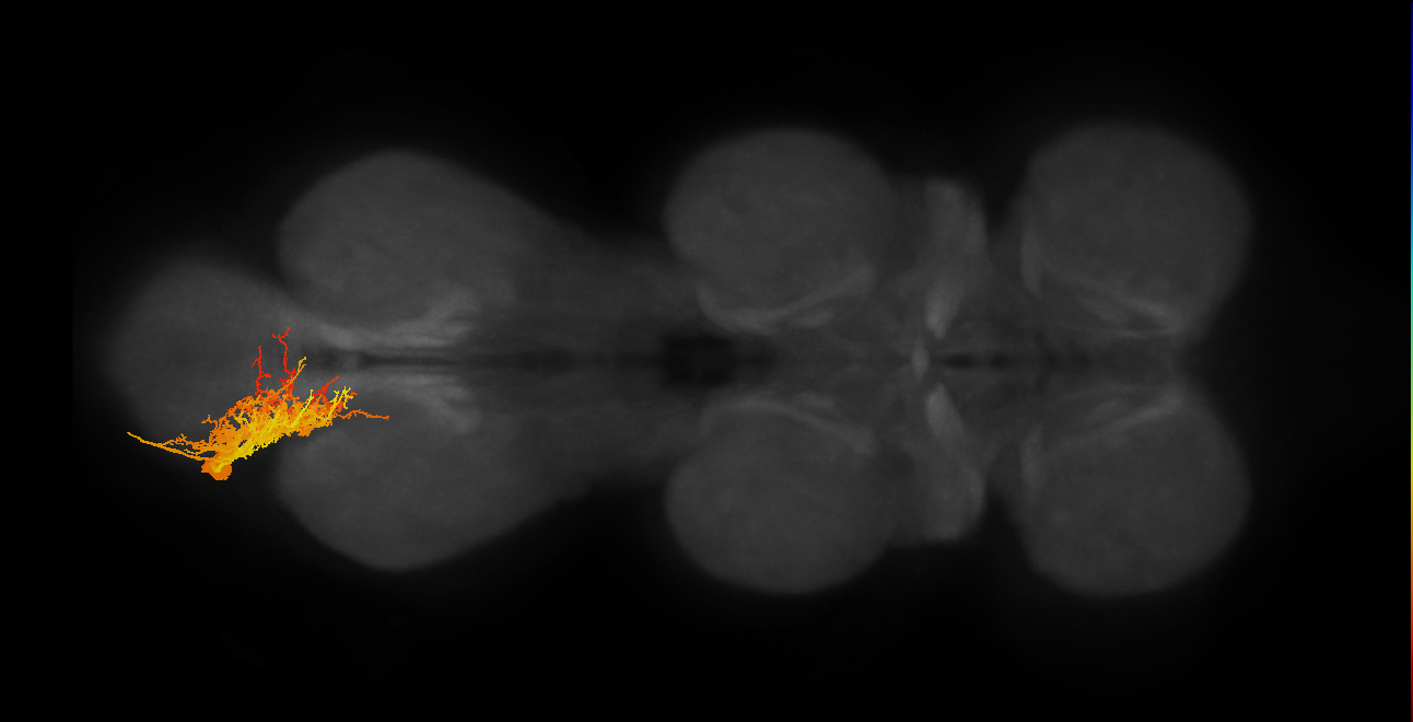 MNad14