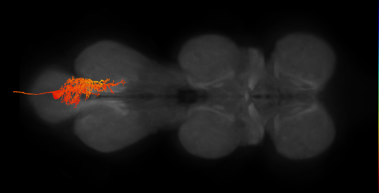 MNad14
