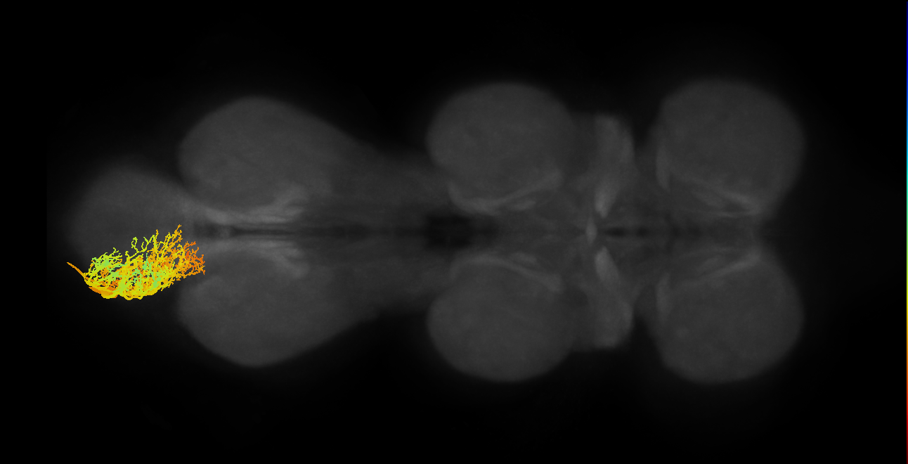 MNad15