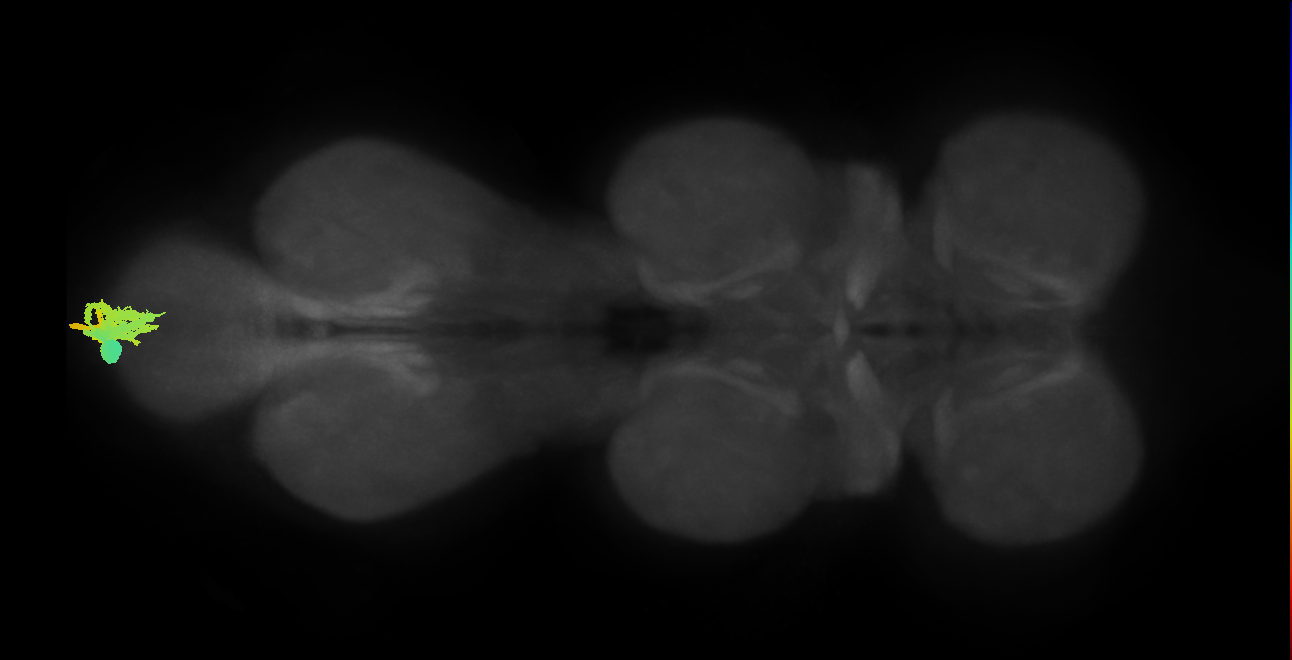 MNad17