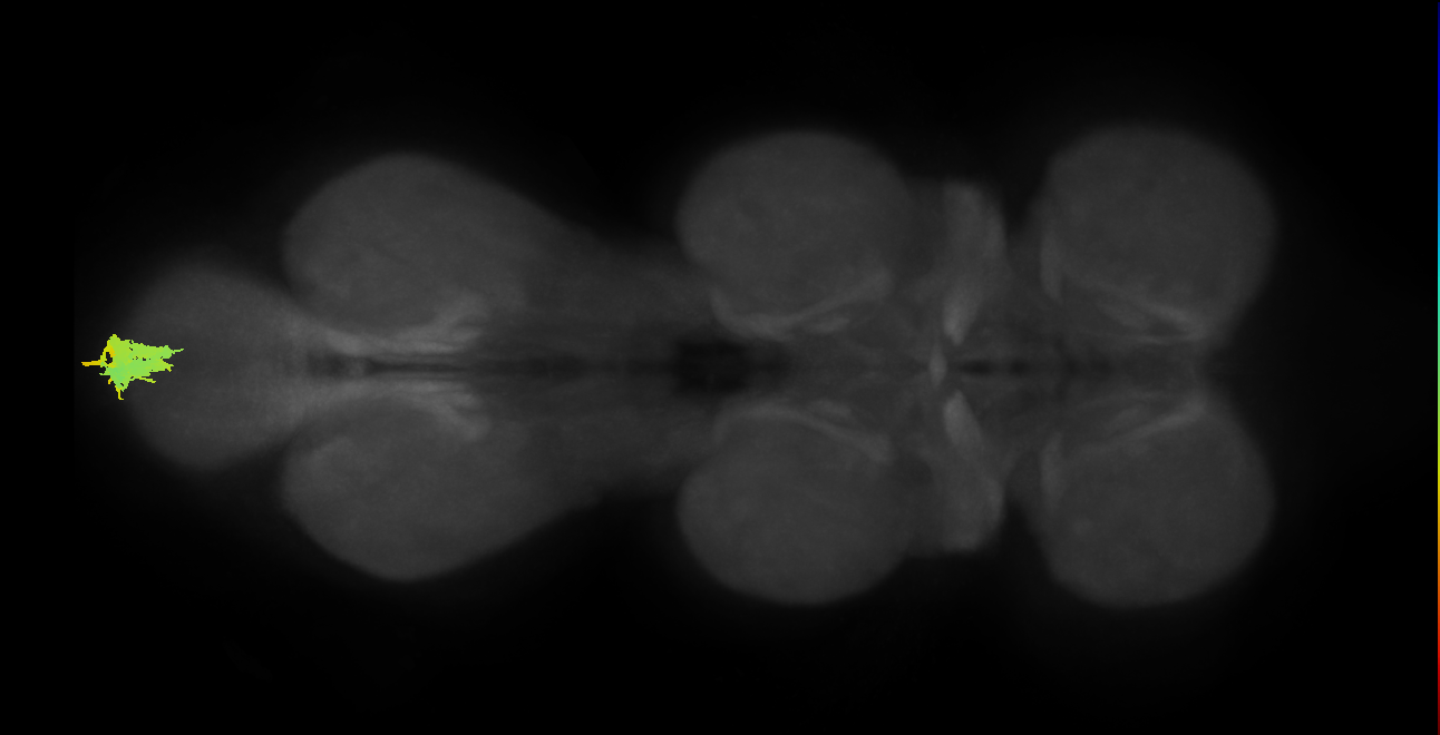 MNad17