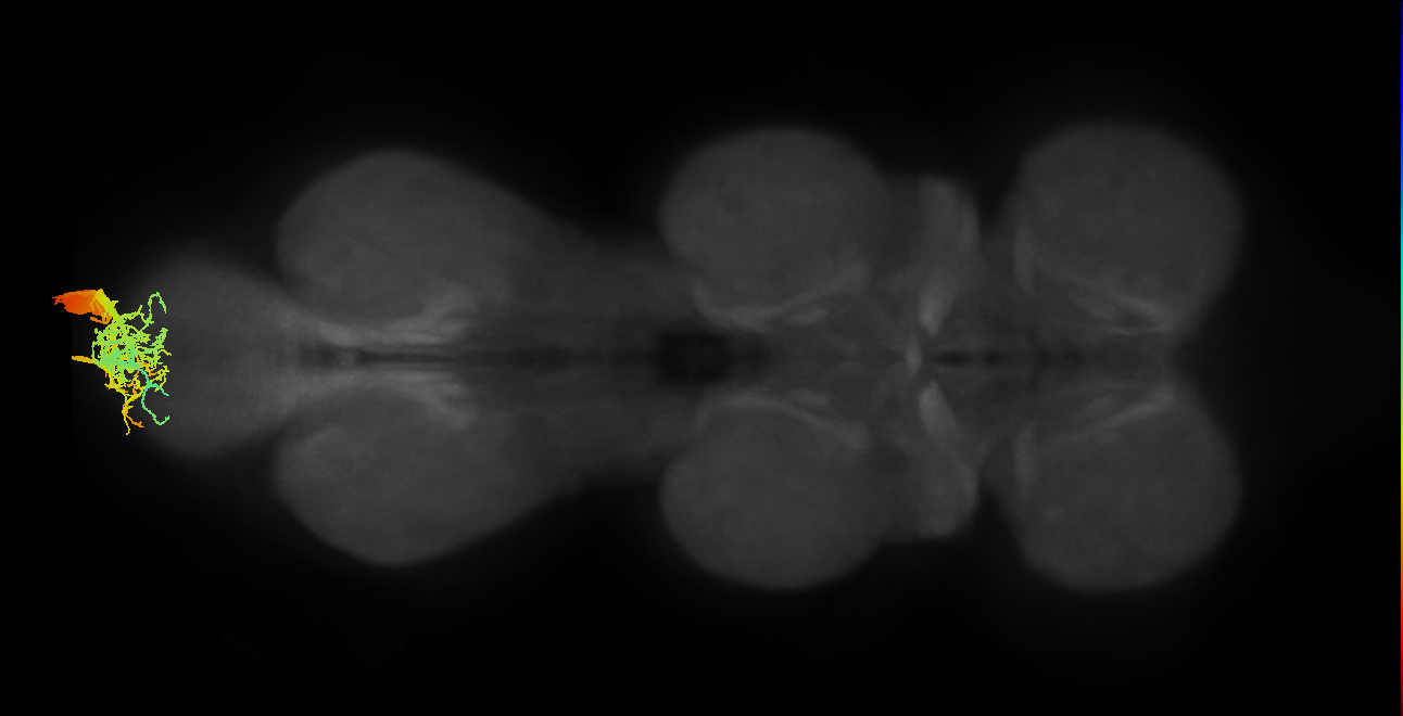 MNad17