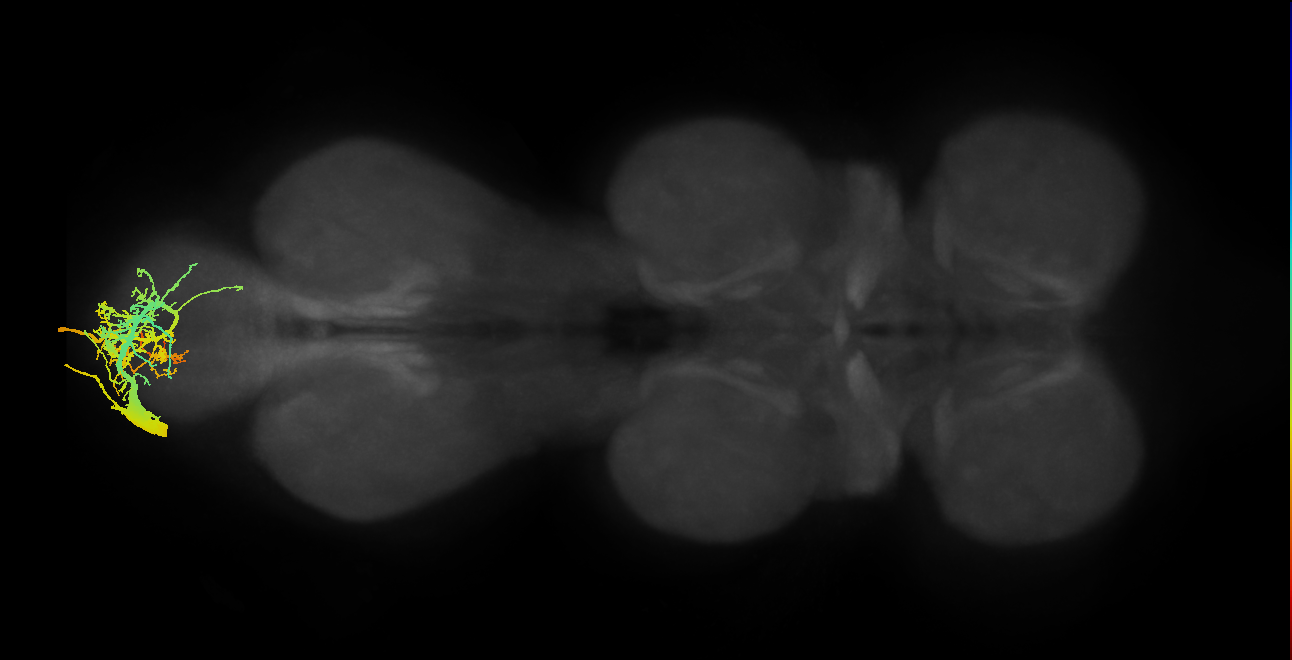 MNad17