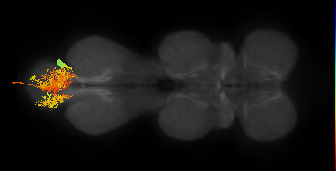 MNad19