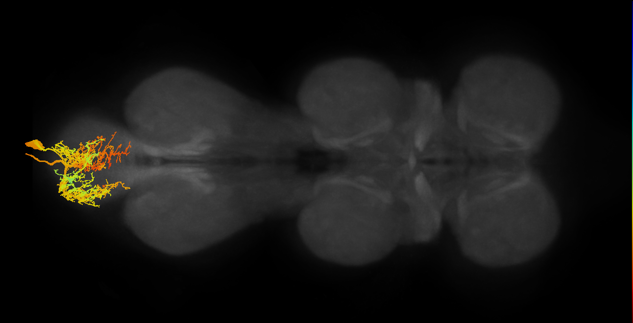 MNad20