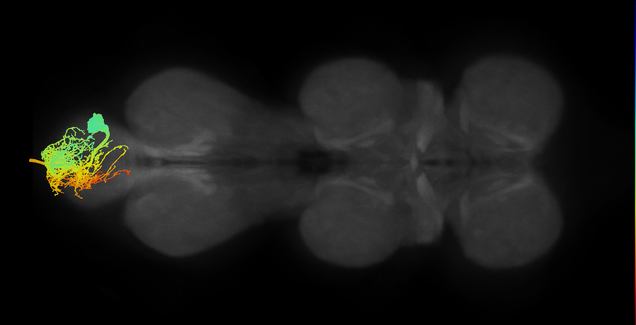 MNad22