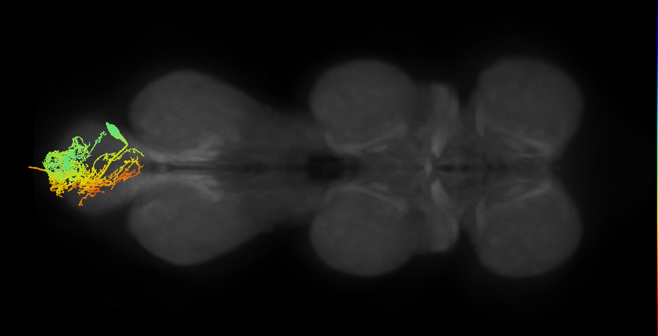 MNad22