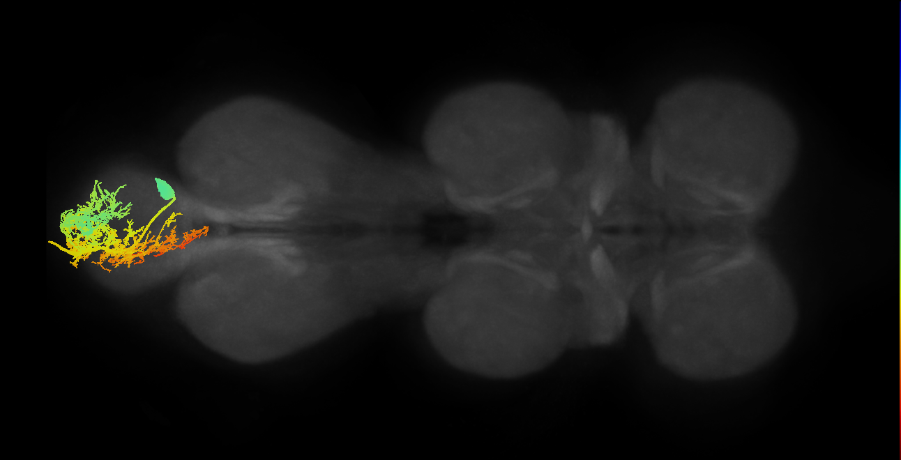 MNad22