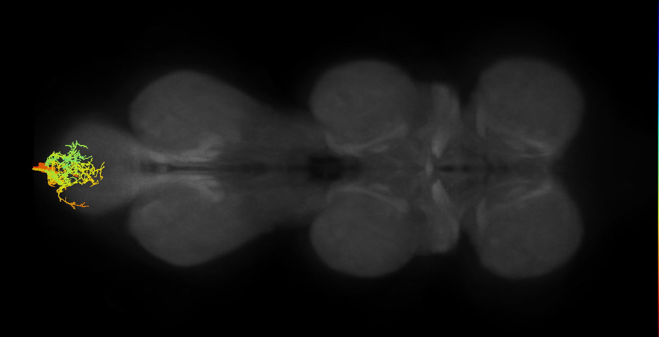 MNad49