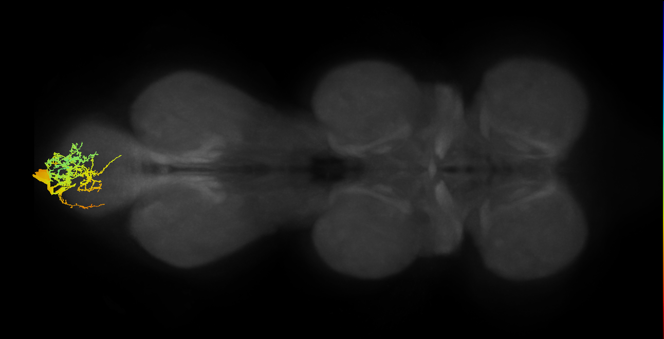 MNad49