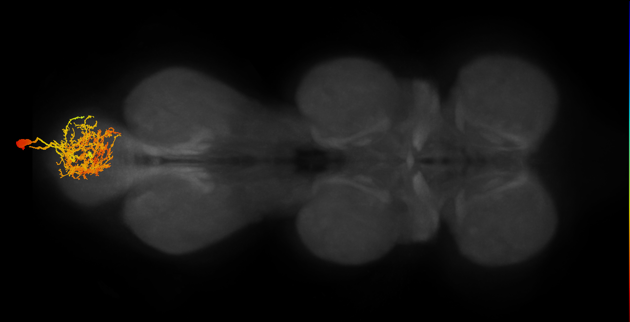 MNad53