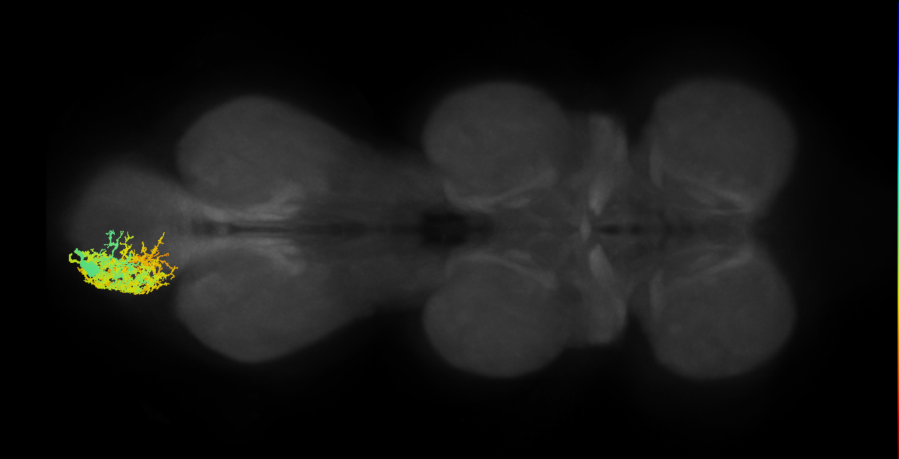 MNad53