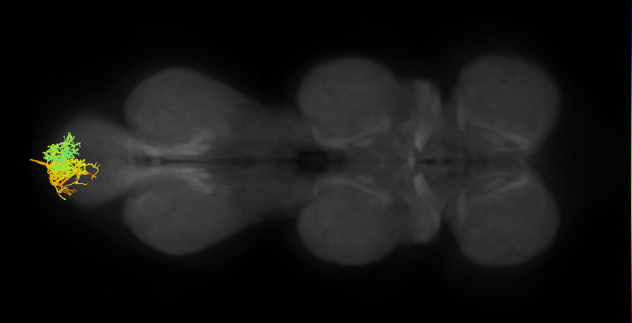 MNad57