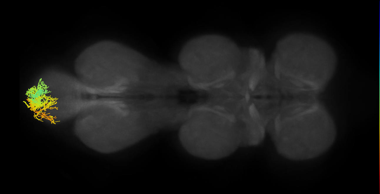 MNad57