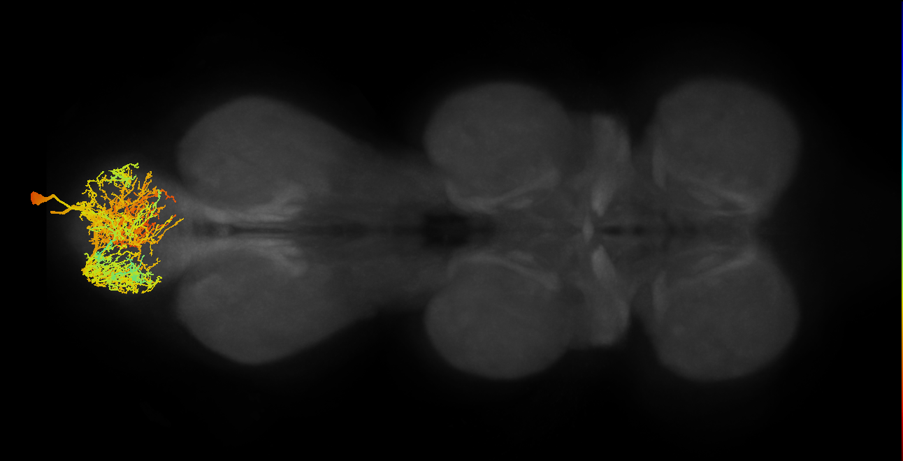 MNad61