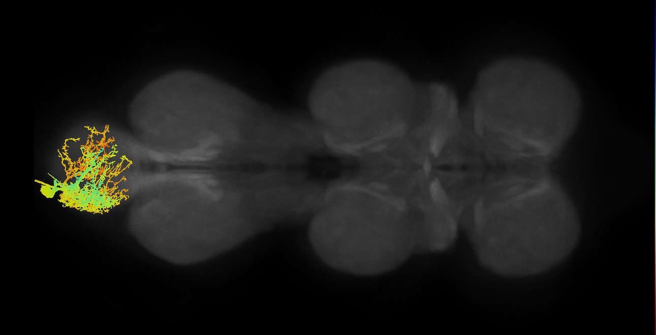 MNad61