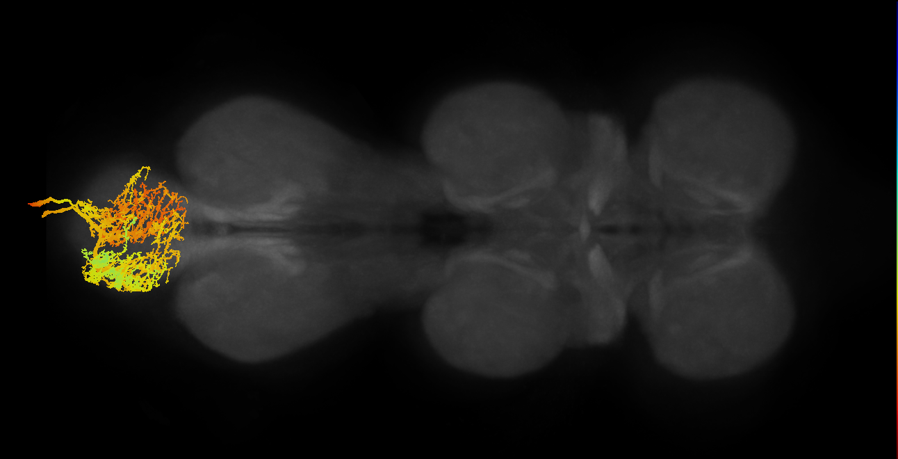 MNad62