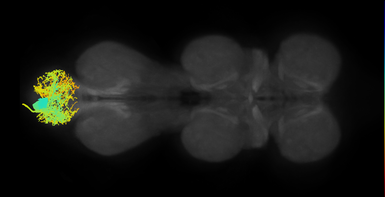 MNad64