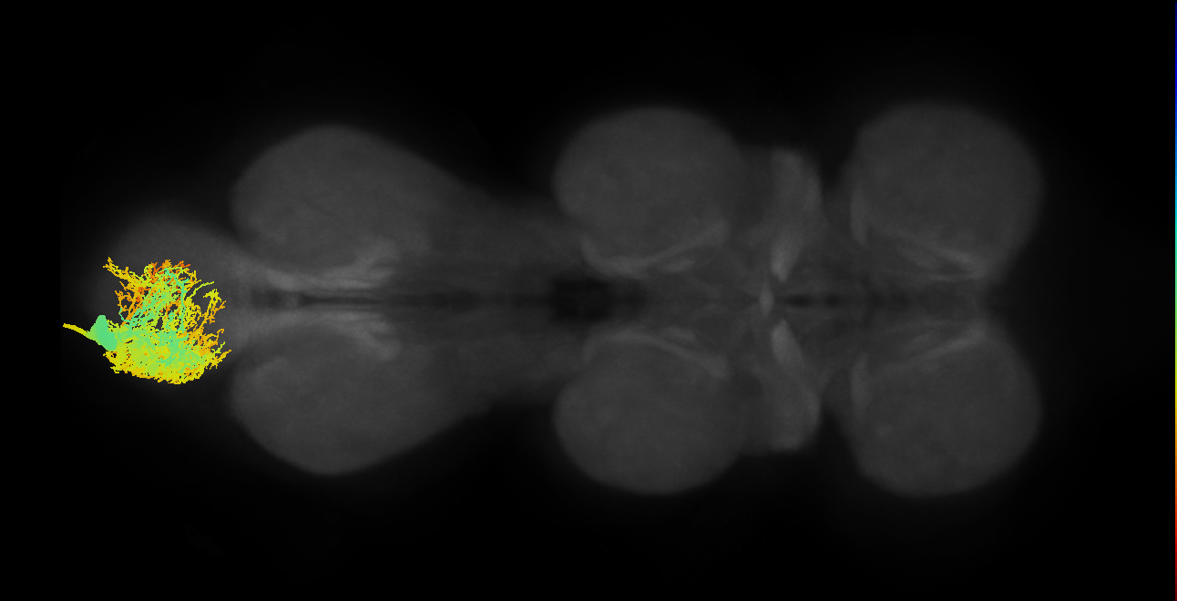 MNad65