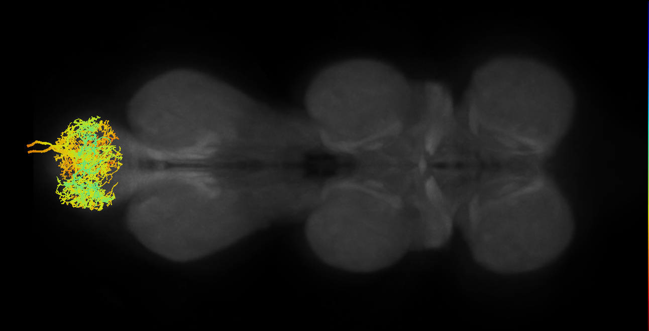 MNad66