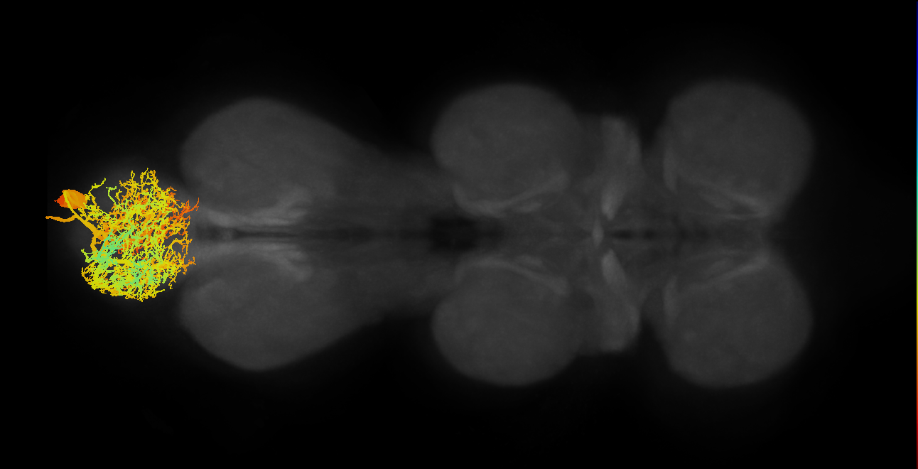 MNad67