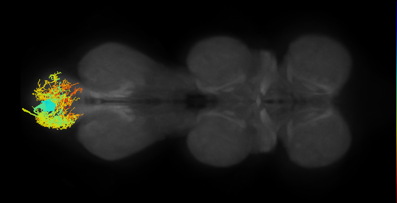 MNad68