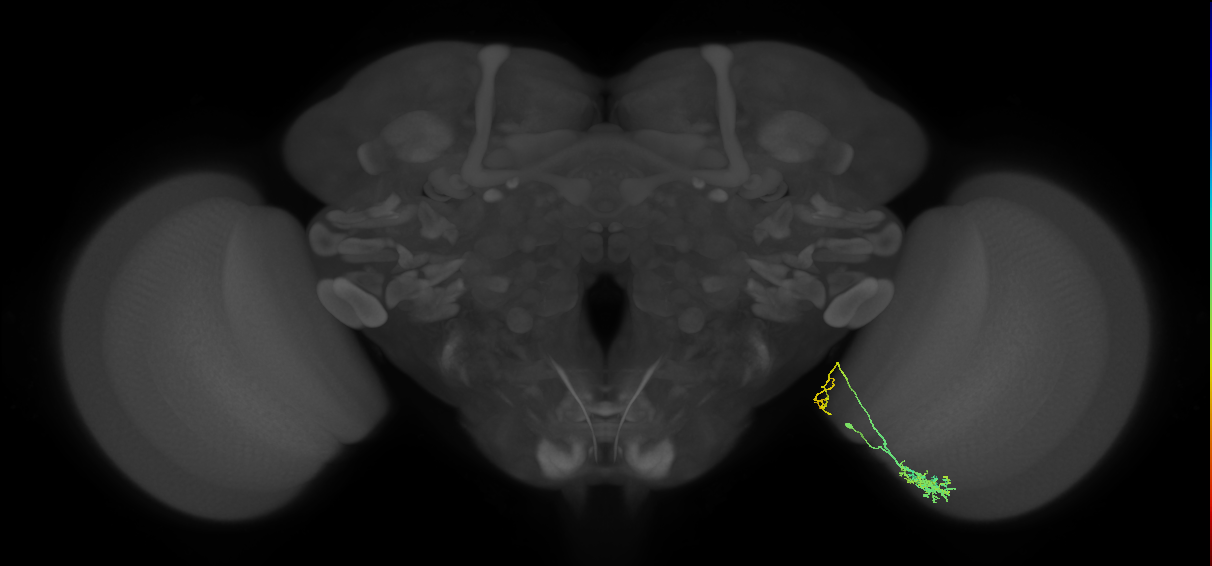 MeLo3a