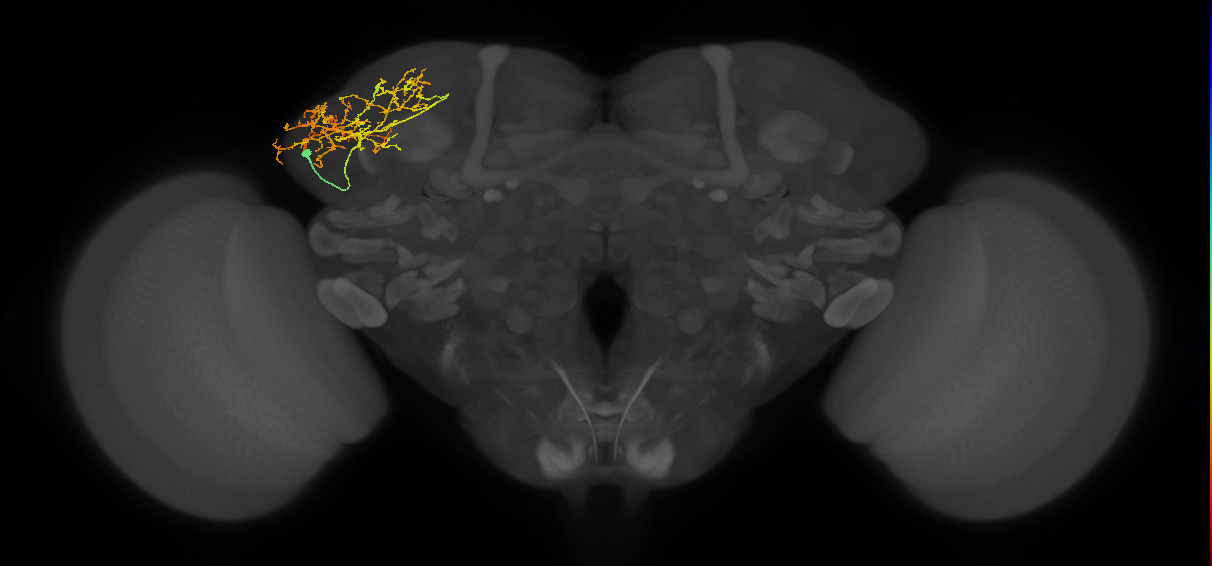 CB3134