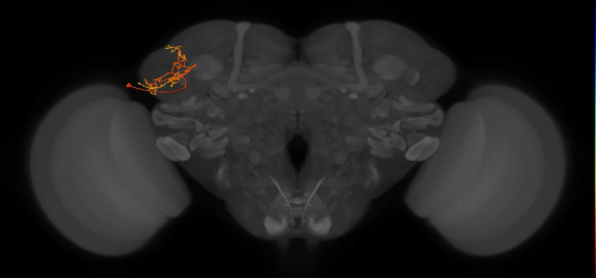 LHPV4b3