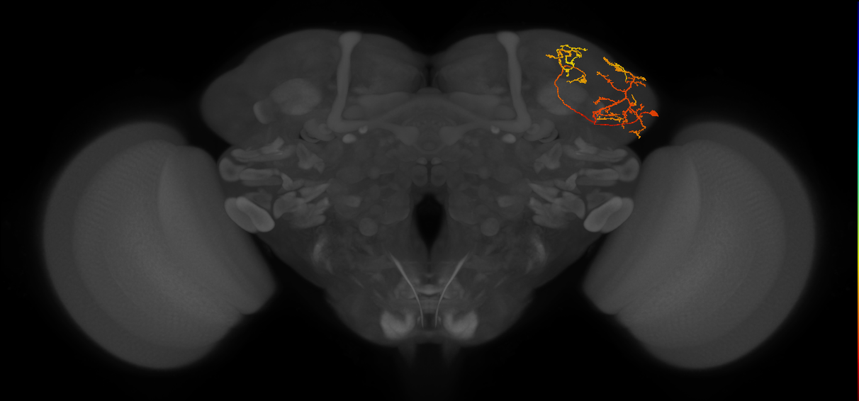 LHPV5h2