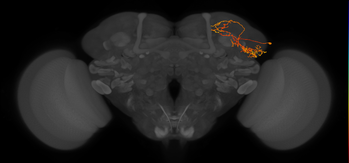 LHPV6h1