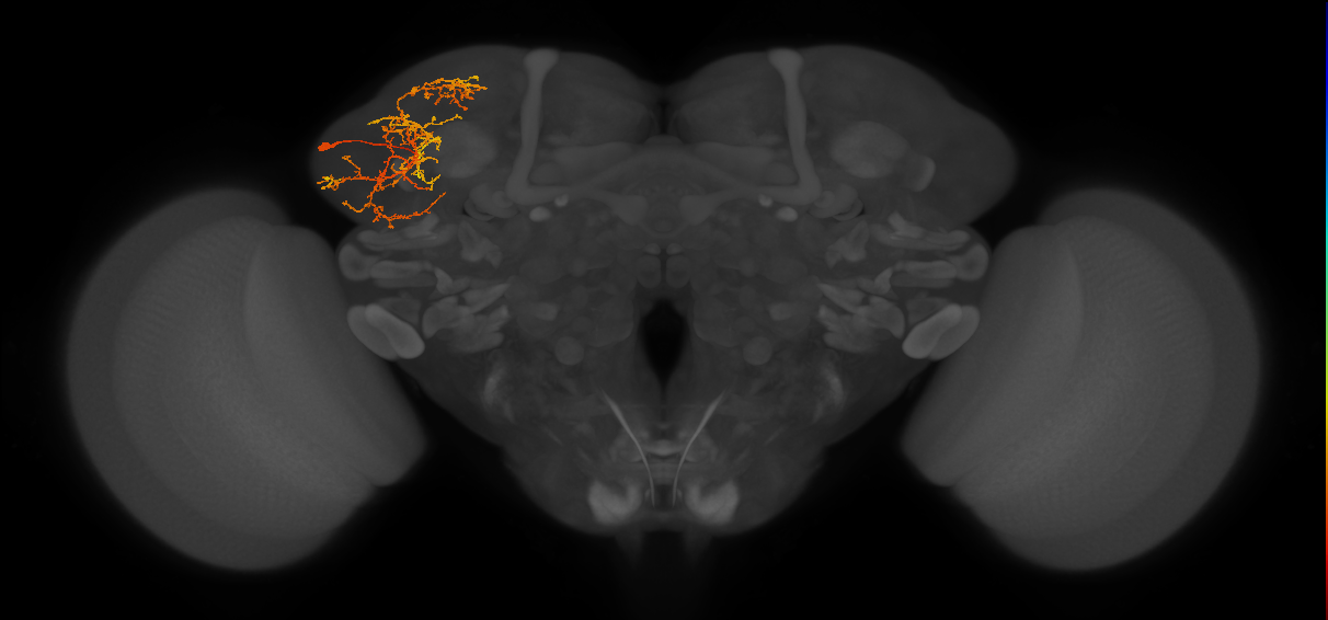 LHPV6h2