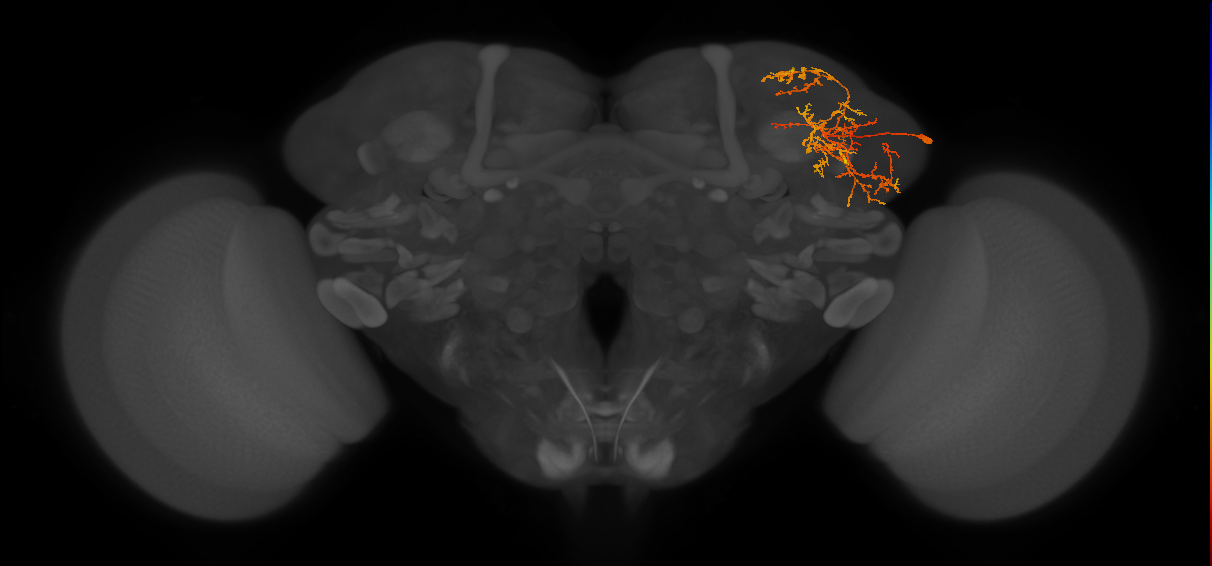 LHPV6h2