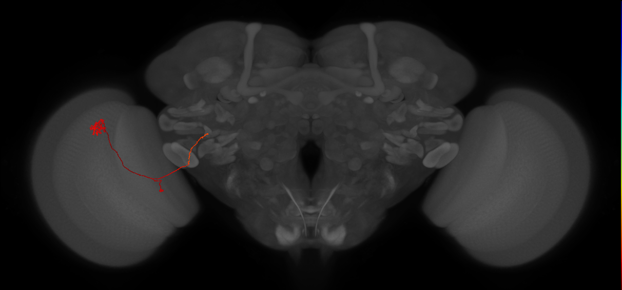 LPC2