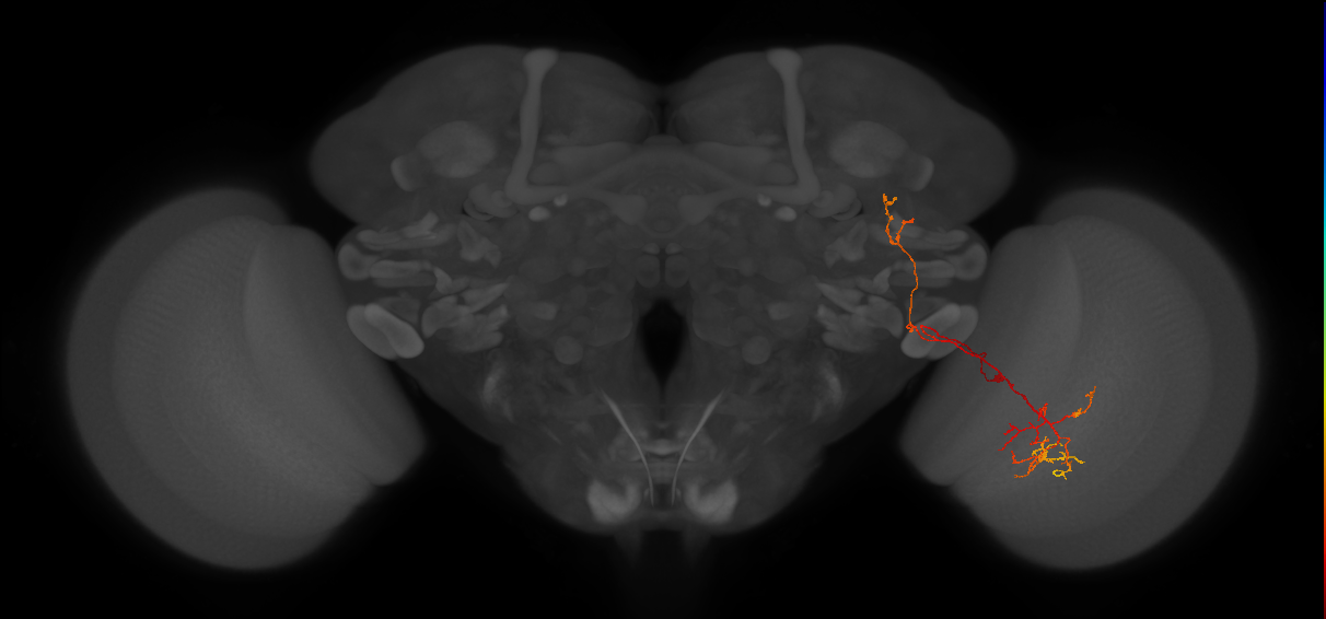 LPT101